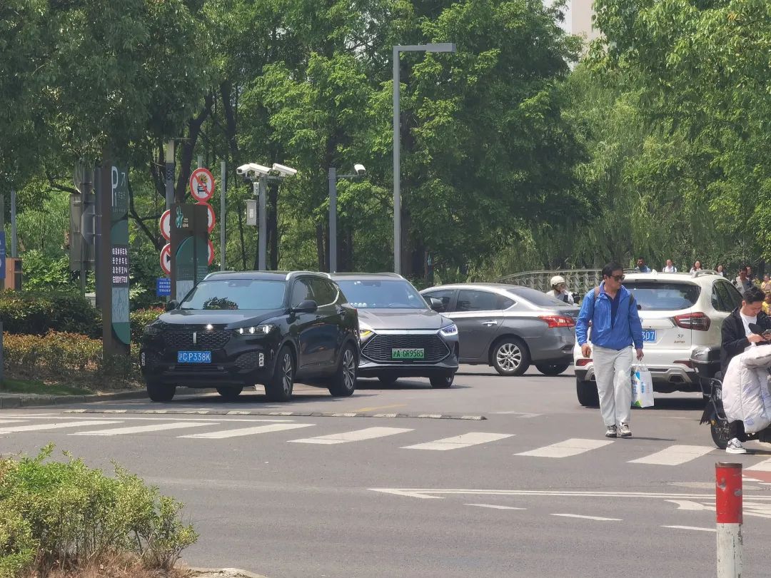 正文图片