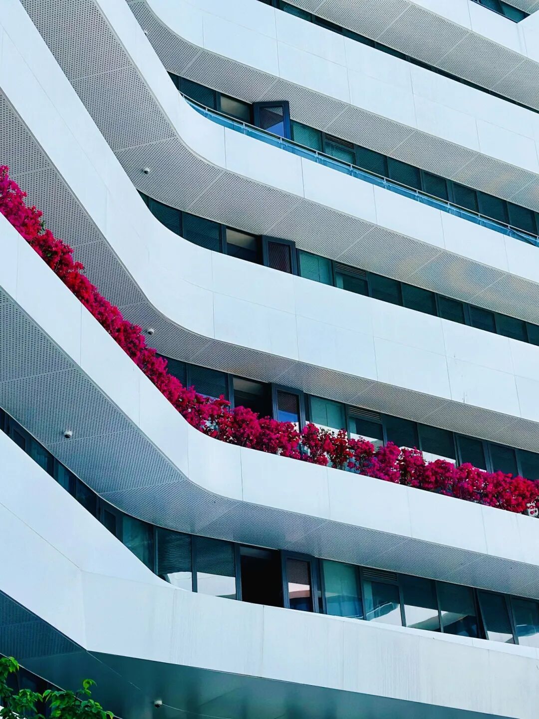 绿化率35% 荣获建筑界的诺贝尔学奖 鲜明的风格.jpg