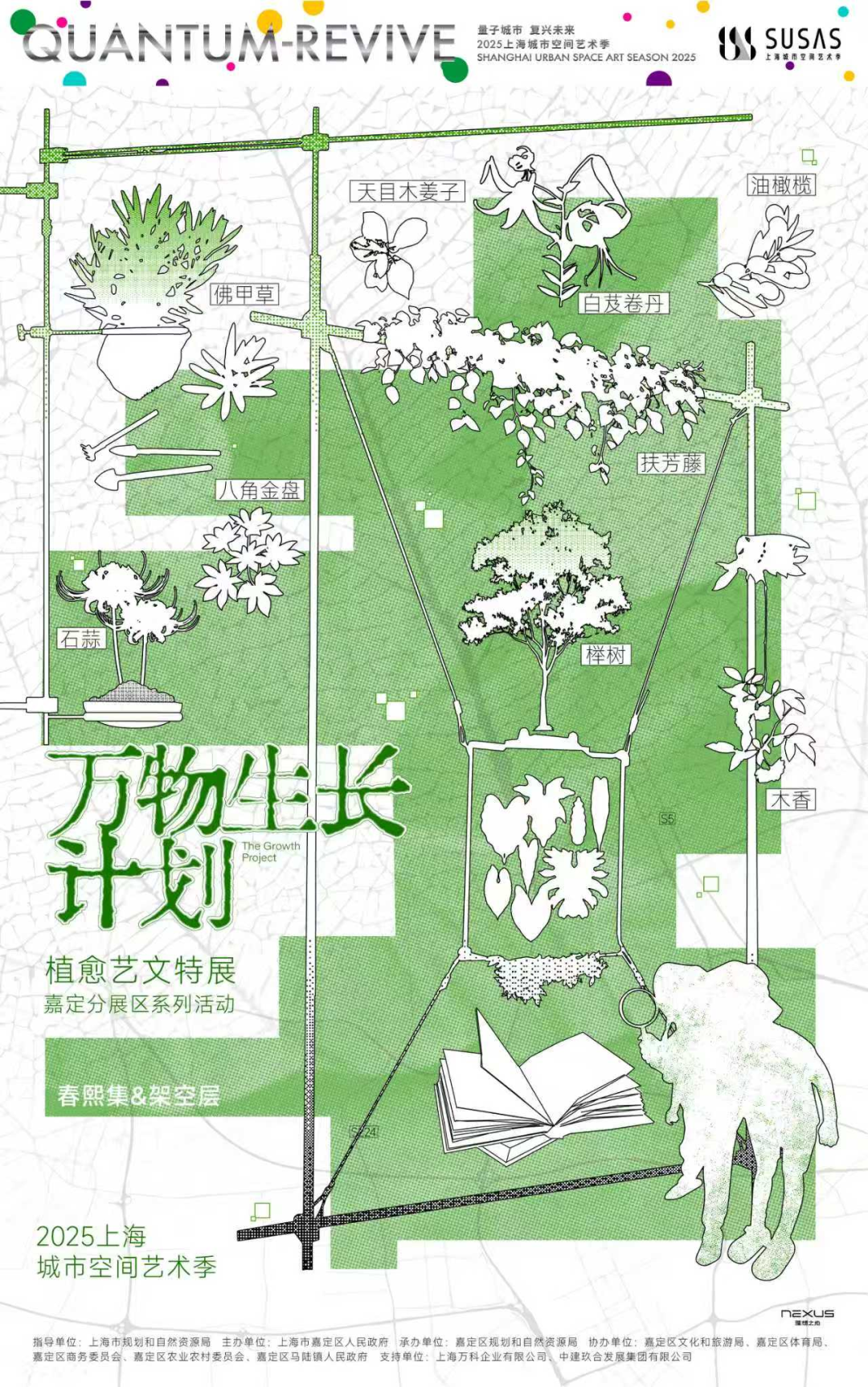正文图片