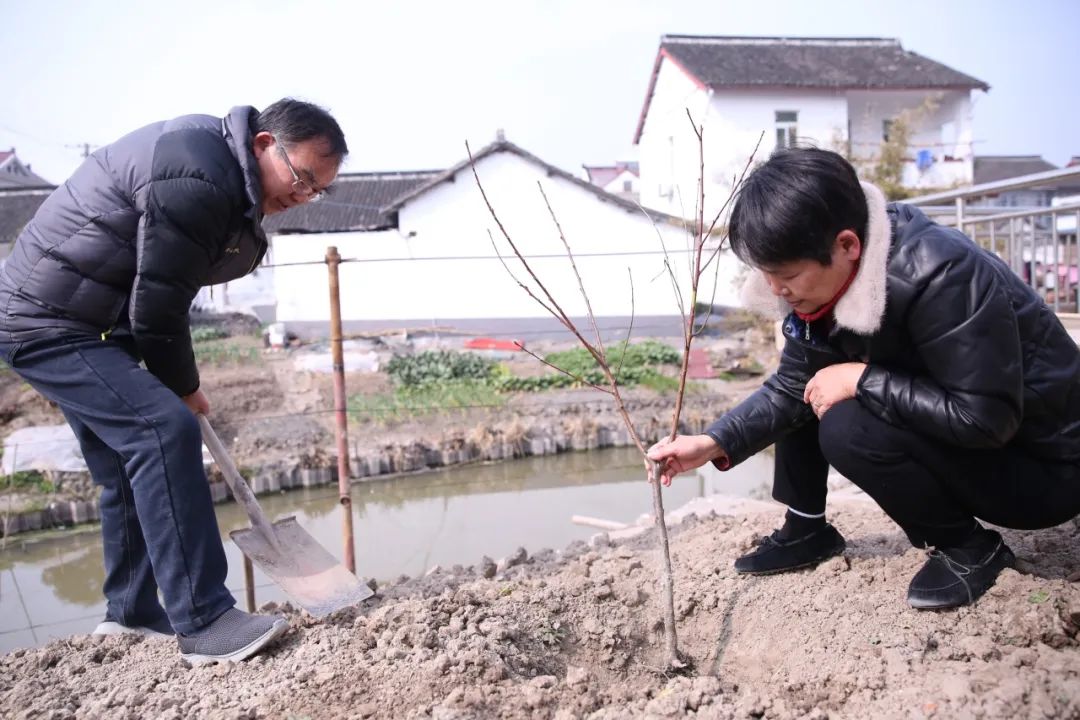 正文图片