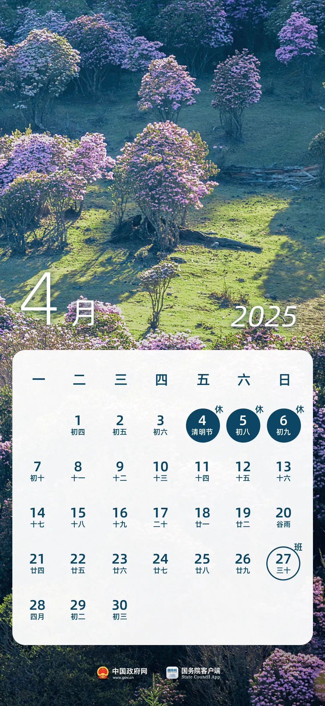 正文图片