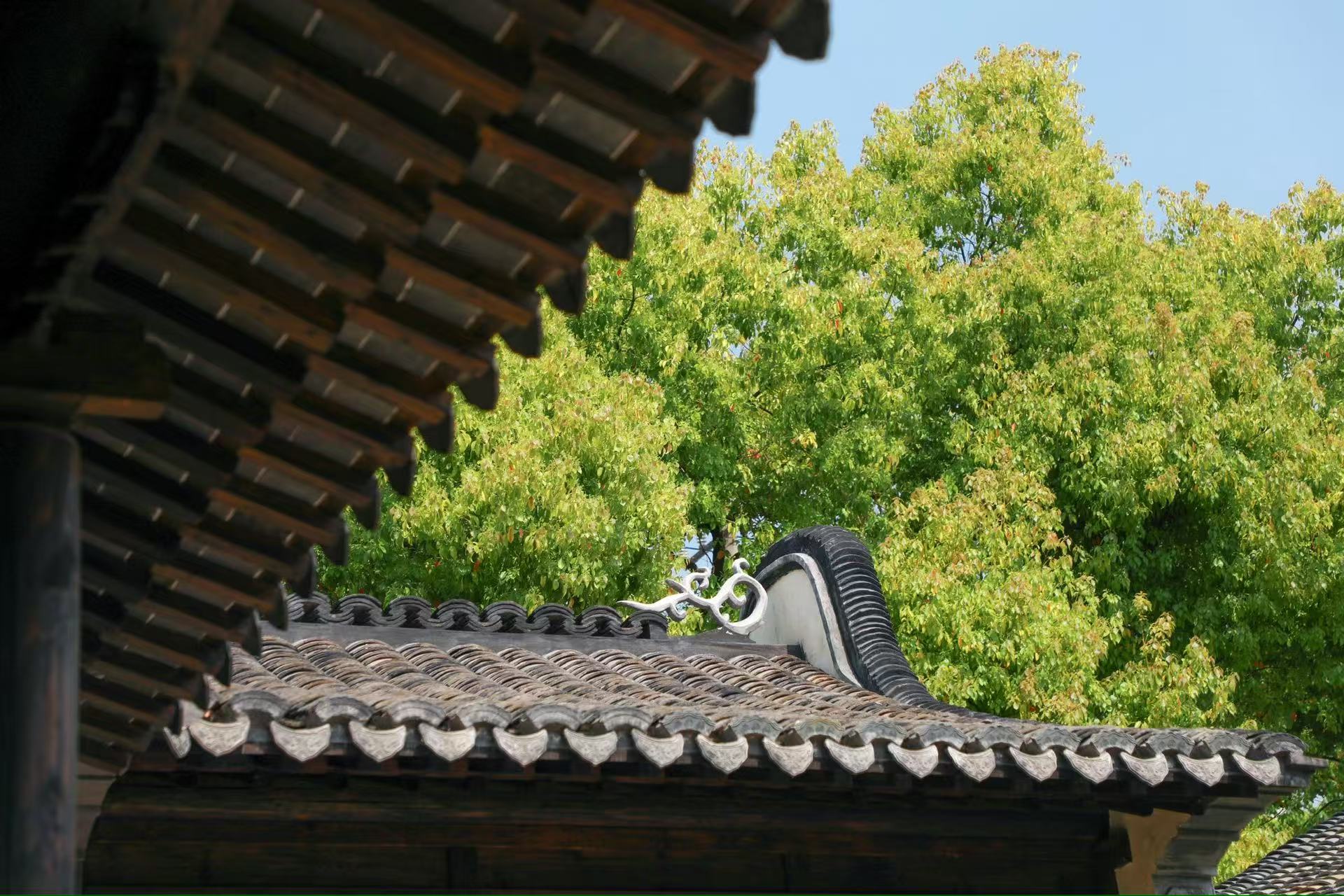 正文图片