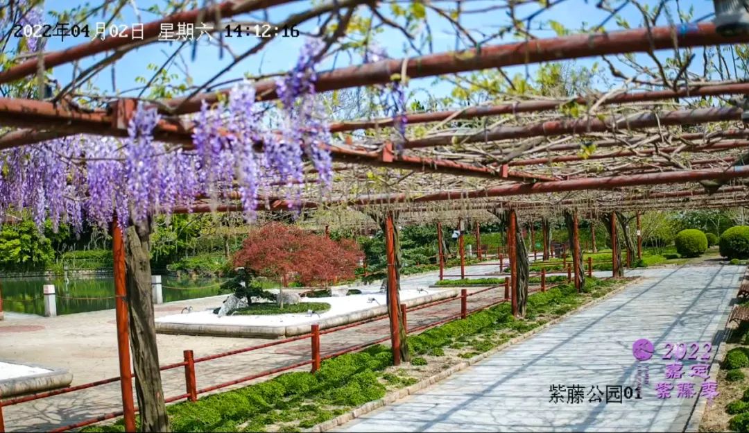 正文图片