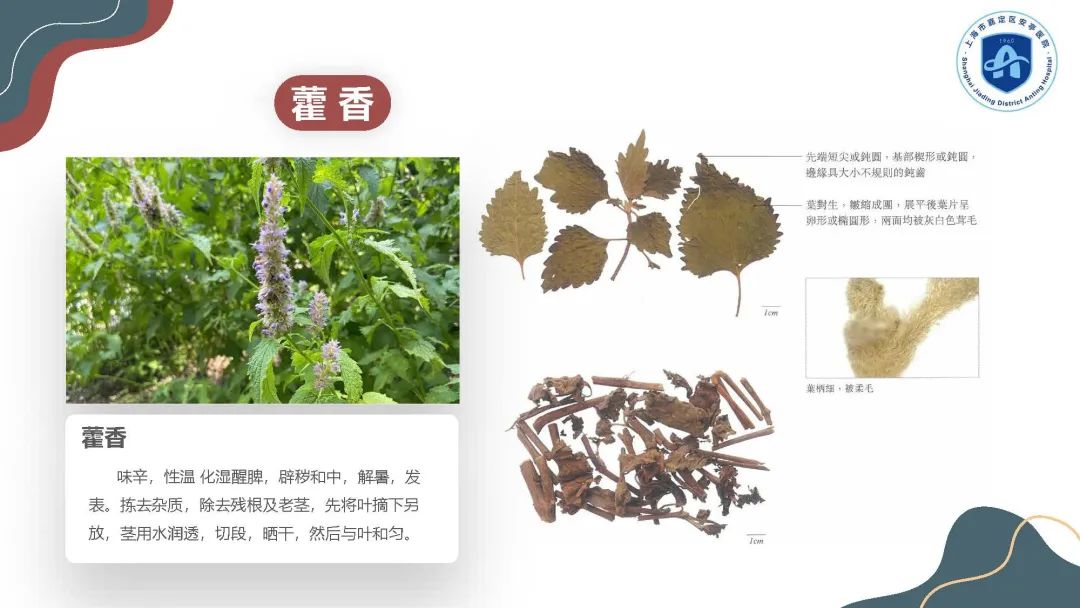 正文图片