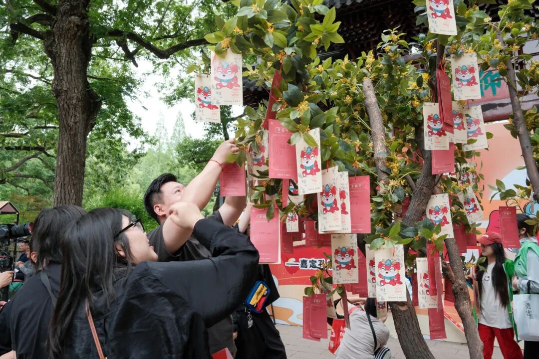 正文图片