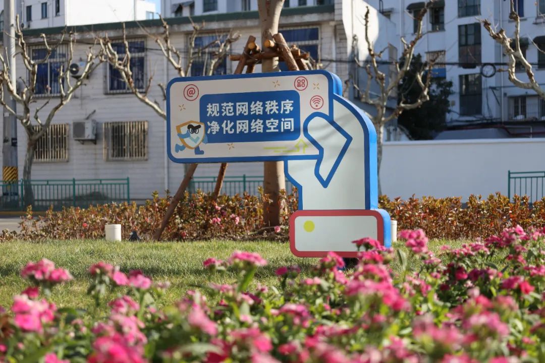正文图片