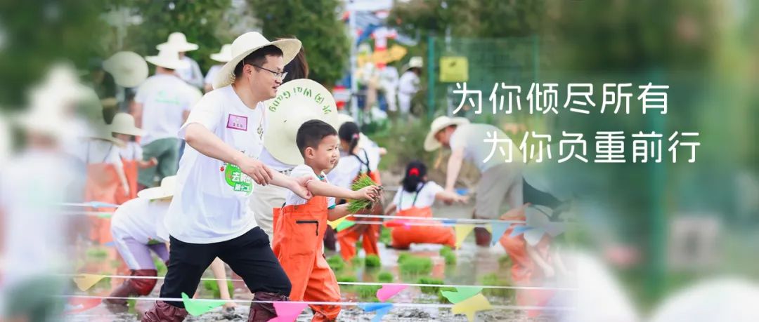 正文图片