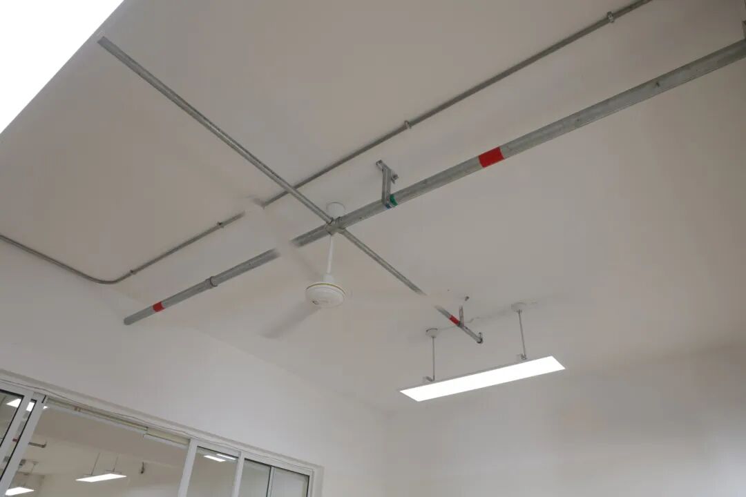 217A4319.JPG