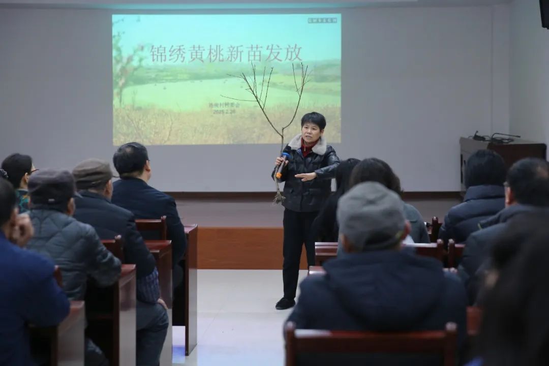 正文图片