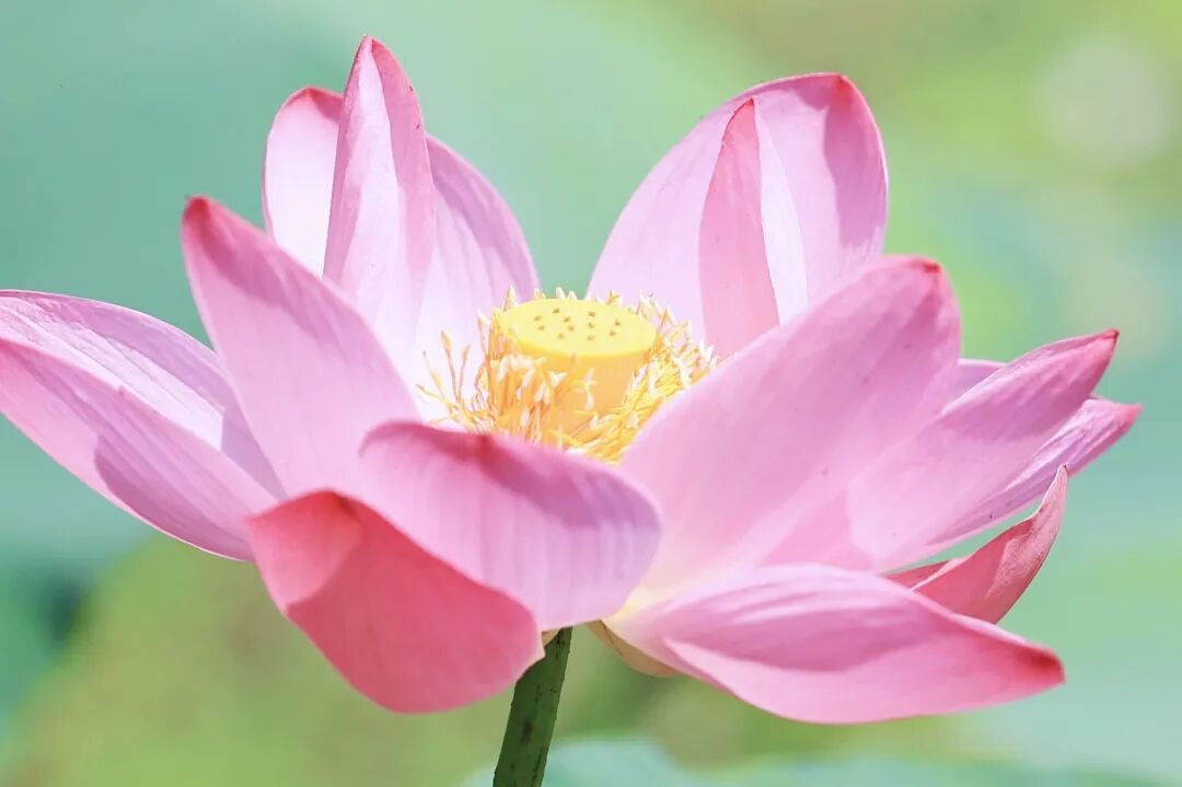 AB3I9558_副本.jpg