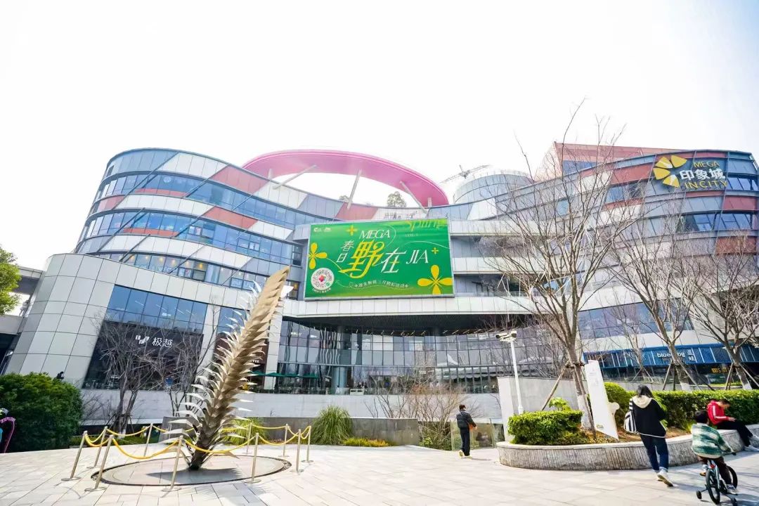 正文图片