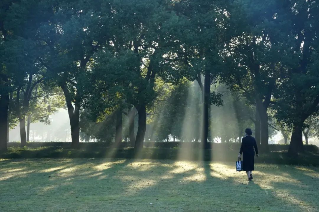 正文图片